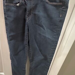 Banana Republic Dark Blue Denim Jeans